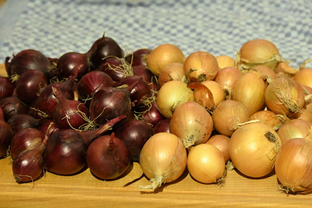 zwiebeln